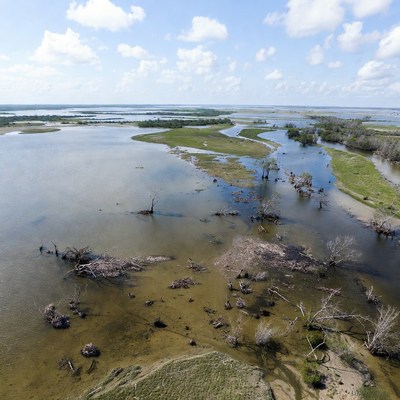 Wetland scenery showing water and land