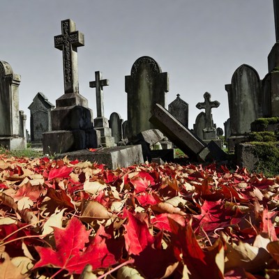 Leaves covering a graveyard in autumn