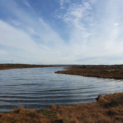 View of water and land in a natural area