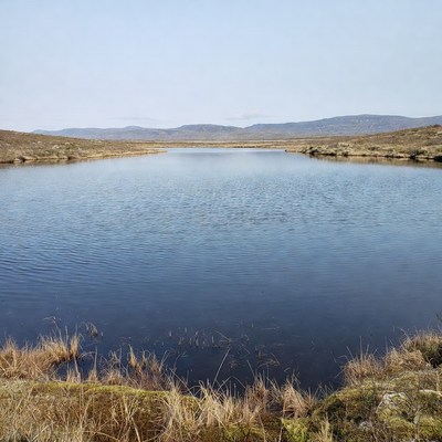 Calm water body in open landscape