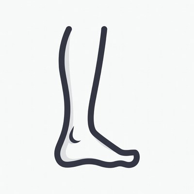 Sketch of a human leg