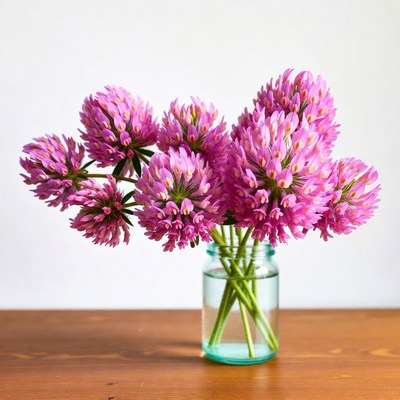 Vibrant pink flowers in a glass vase