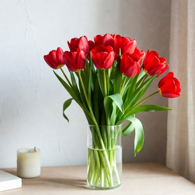 Red tulips in a glass vase
