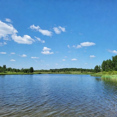 Sunny day by the river shore