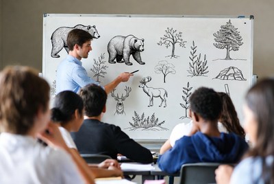 Teacher shows animal drawings to students