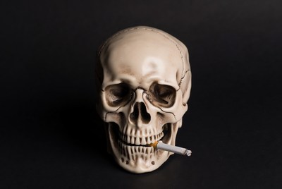 Skull with cigarette on display
