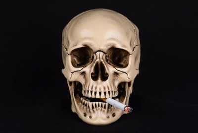 Skull with cigarette on display