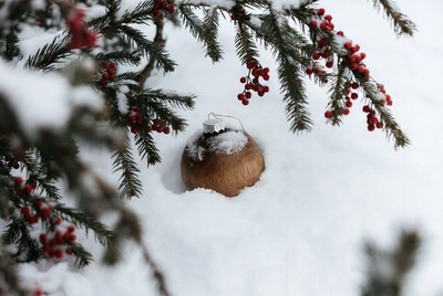 Ornament in snow with pine branch