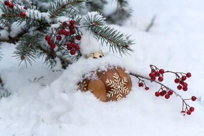 Snowy scene with ornament and berries