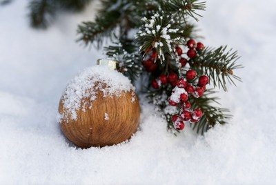 Wooden ornament in snowy setting