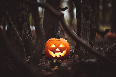 Halloween pumpkin in dark woods