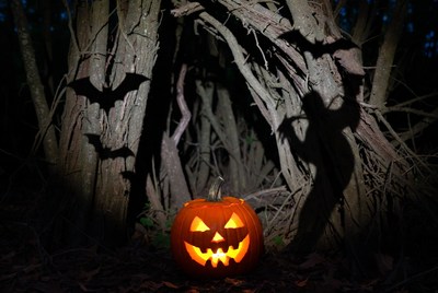 Pumpkin with bats in the woods