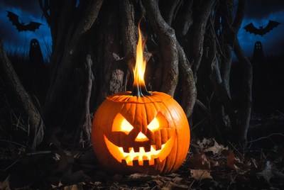 Pumpkin during halloween night in forest