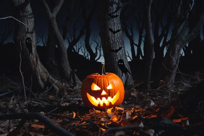 Carved pumpkin in dark woods