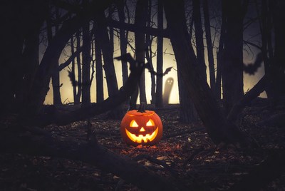 Pumpkin in dark forest at night
