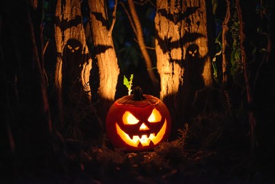 Jack-o'-lantern glows in the woods