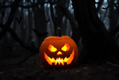 Carved pumpkin in dark forest