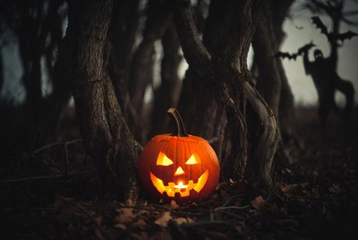 Pumpkin and shadows in the woods