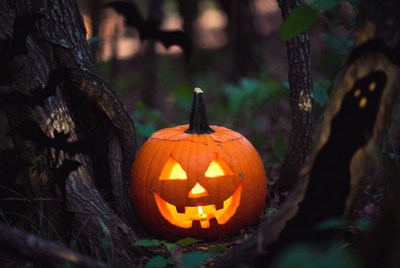 Halloween pumpkin glows at night