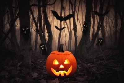 Halloween pumpkin in dark forest scene
