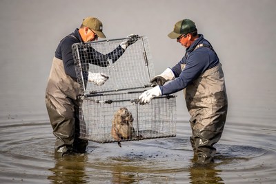 Two people rescue an animal from water