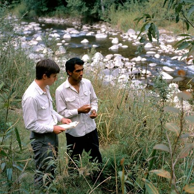 Two men studying plants by a river