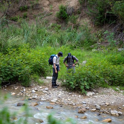 Exploring nature by the stream