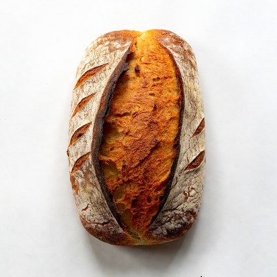 Freshly baked loaf on white background