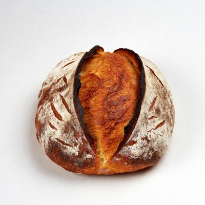 Freshly baked bread loaf on white background