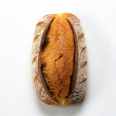 Freshly baked bread on white background