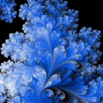 Blue fractal pattern on black background