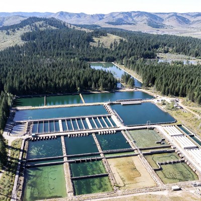 Fish hatchery in mountain location