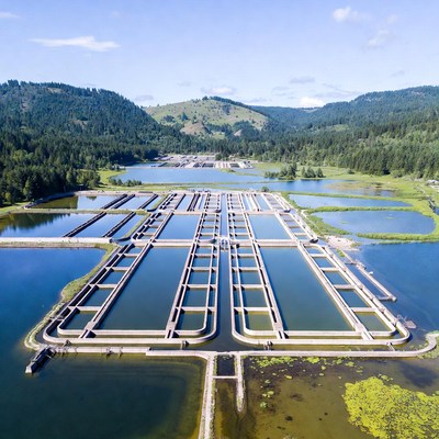 Fish hatchery located near lake