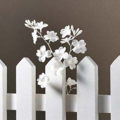White flowers against a fence