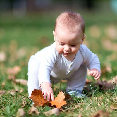 Baby exploring leaves on grass