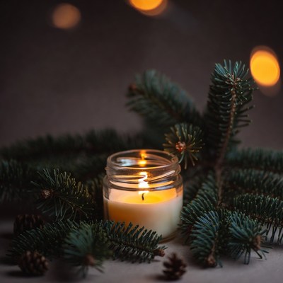 Candlelight surrounded by evergreen branches