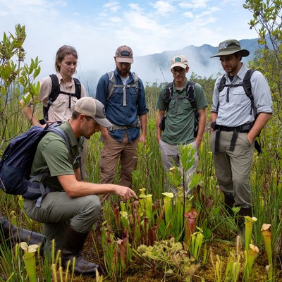 Group learning about plants in wetland