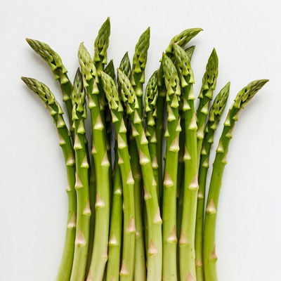 Fresh asparagus spears on white