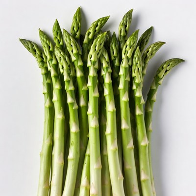 Fresh asparagus spears on white background