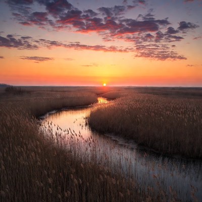 Sunset over river in reed marsh
