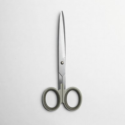 Silver Scissors on White Background