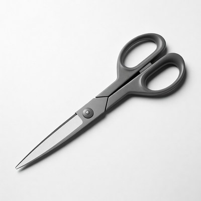 Gray scissors on white background