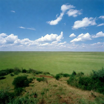 Vast green savanna under blue sky