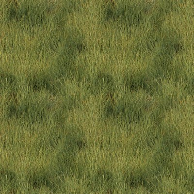 Seamless Green Grass Texture