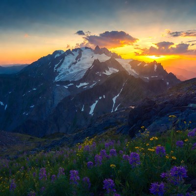 Mountains with Wildflowers at Sunset