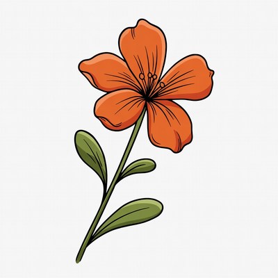 Orange Flower Illustration with Stem