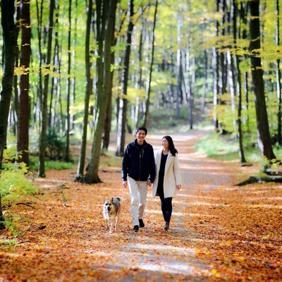 Asian couple walking dog in autumn forest