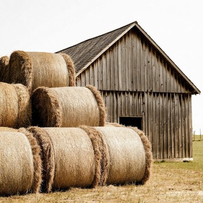 Hay bales stacked near wooden barn