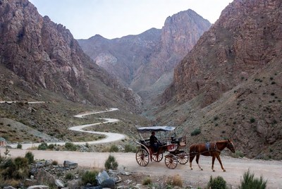 Horse-drawn carriage in mountain valley