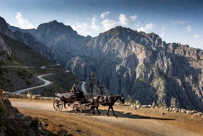Man driving horse carriage on mountain road